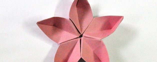 Taller de origami. Manuel Carrasco