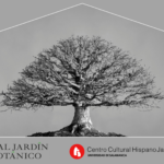 MOMENTUM – EXPOSICIÓN DE FOTOGRAFÍA:  Colección de bonsáis del RJB-CSIC – Fotografías de David Romero Lomas