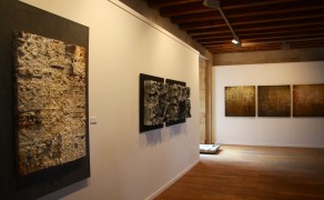 Exposición – Fragmentos de Naturaleza