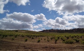 Visita Bodega Estancia Piedra (D.O. Toro)