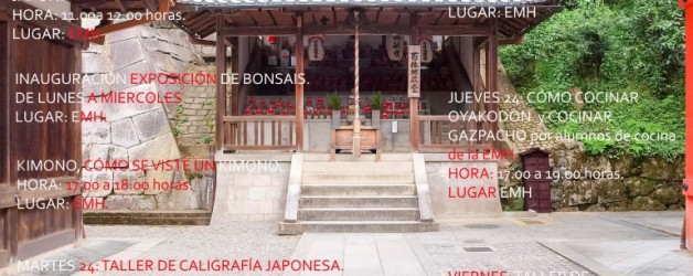 VII Semana de Japón de Santa Marta de Tormes