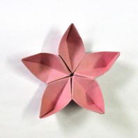 Taller de origami. Manuel Carrasco