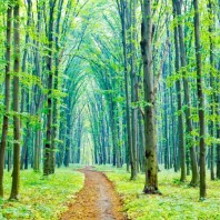 CURSO TEMÁTICO: FENÓMENOS NATURALES Y PERCEPCIÓN DEL RIESGO (14 y 15 de marzo)